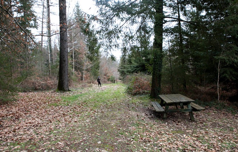 Arboretum du Clédou, Combiers, France